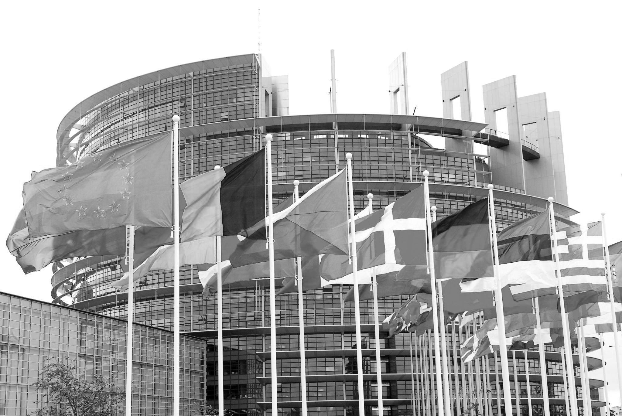 Newsletter | TMT e Antitrust and EU Law