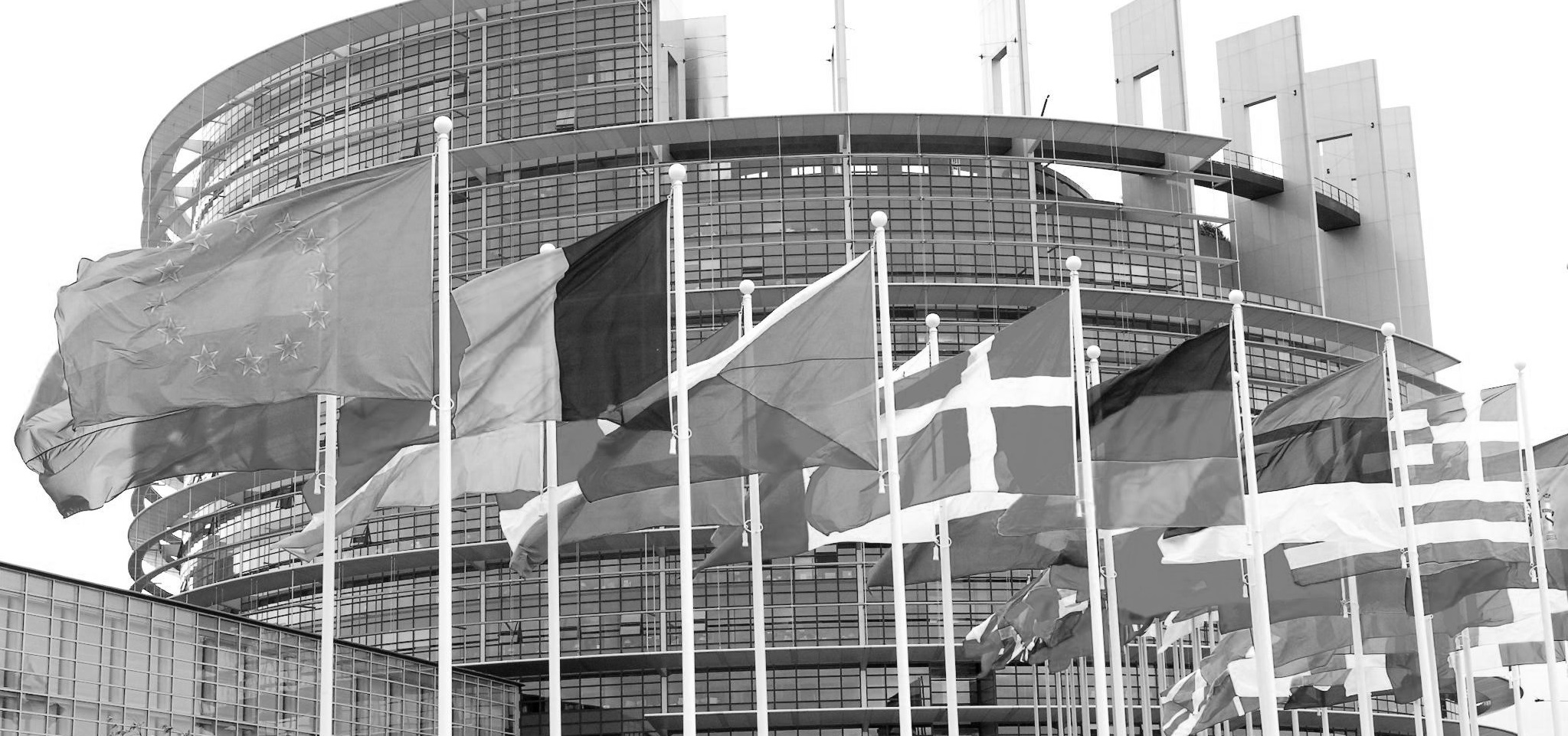Newsalert - Common minimum coverage levels for NPEs: the EU proposal for a Regulation