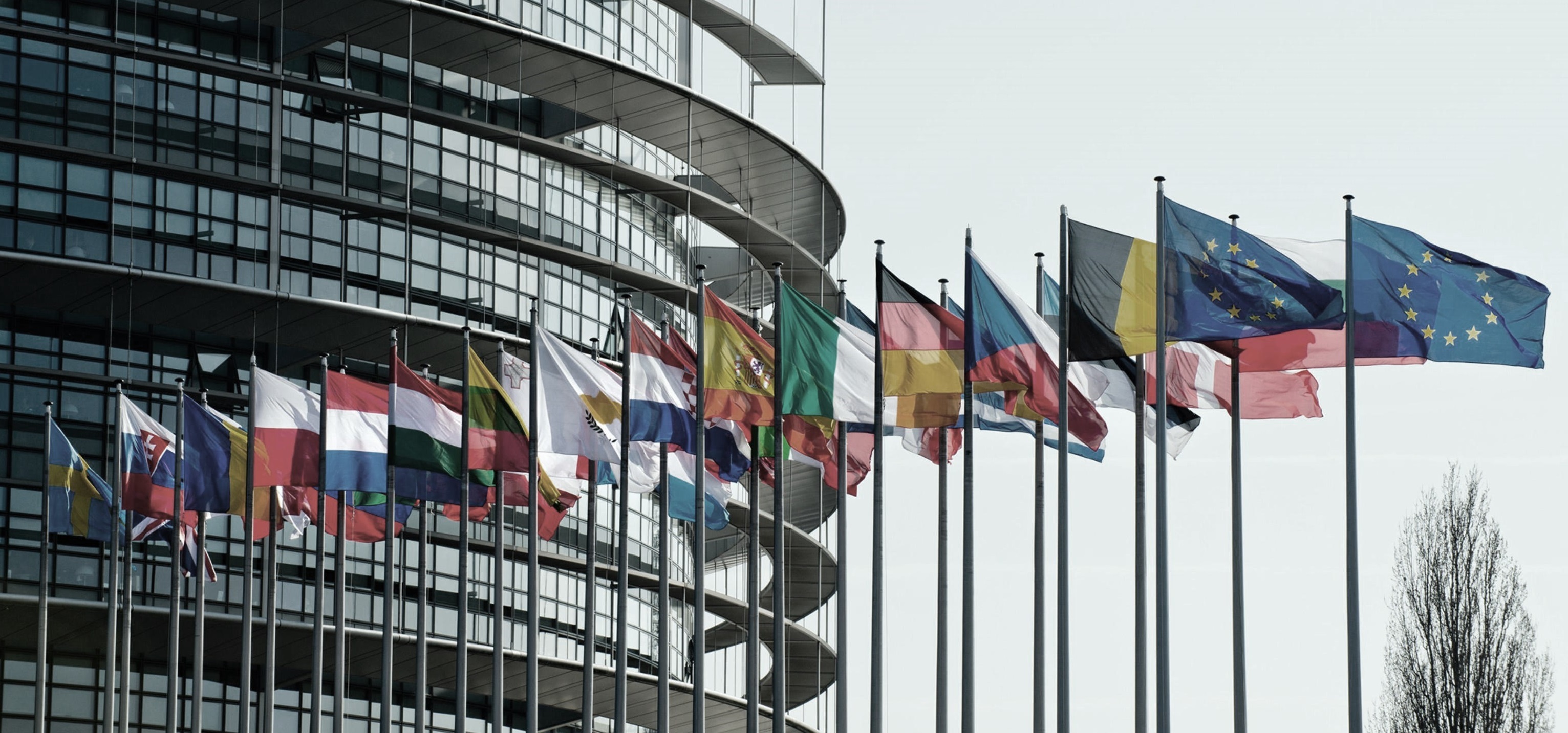 Newsletter - The ECN+ Directive and the tightening of antitrust fines. The case of trade associations