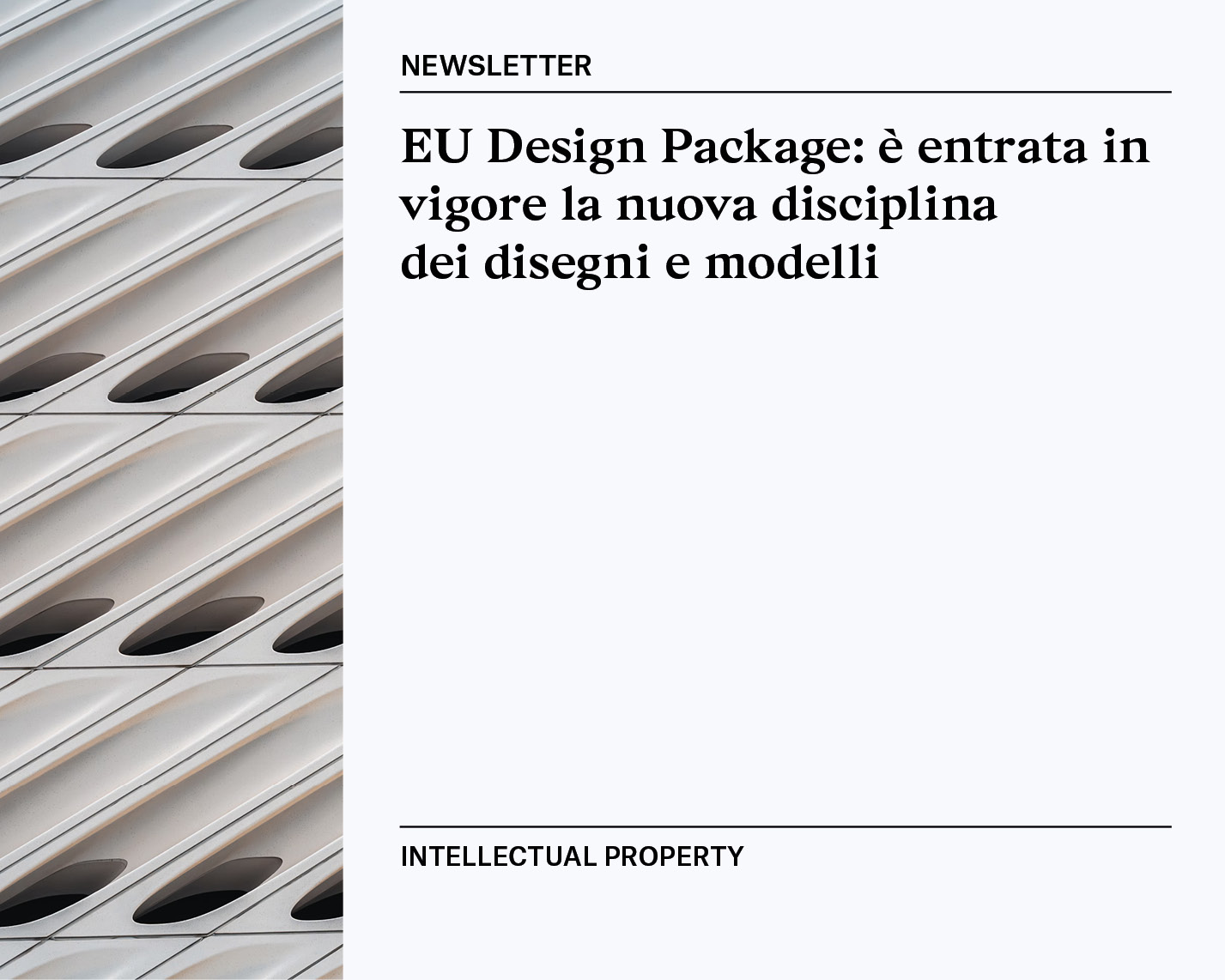 Newsletter | Intellectual Property 09/12/2024