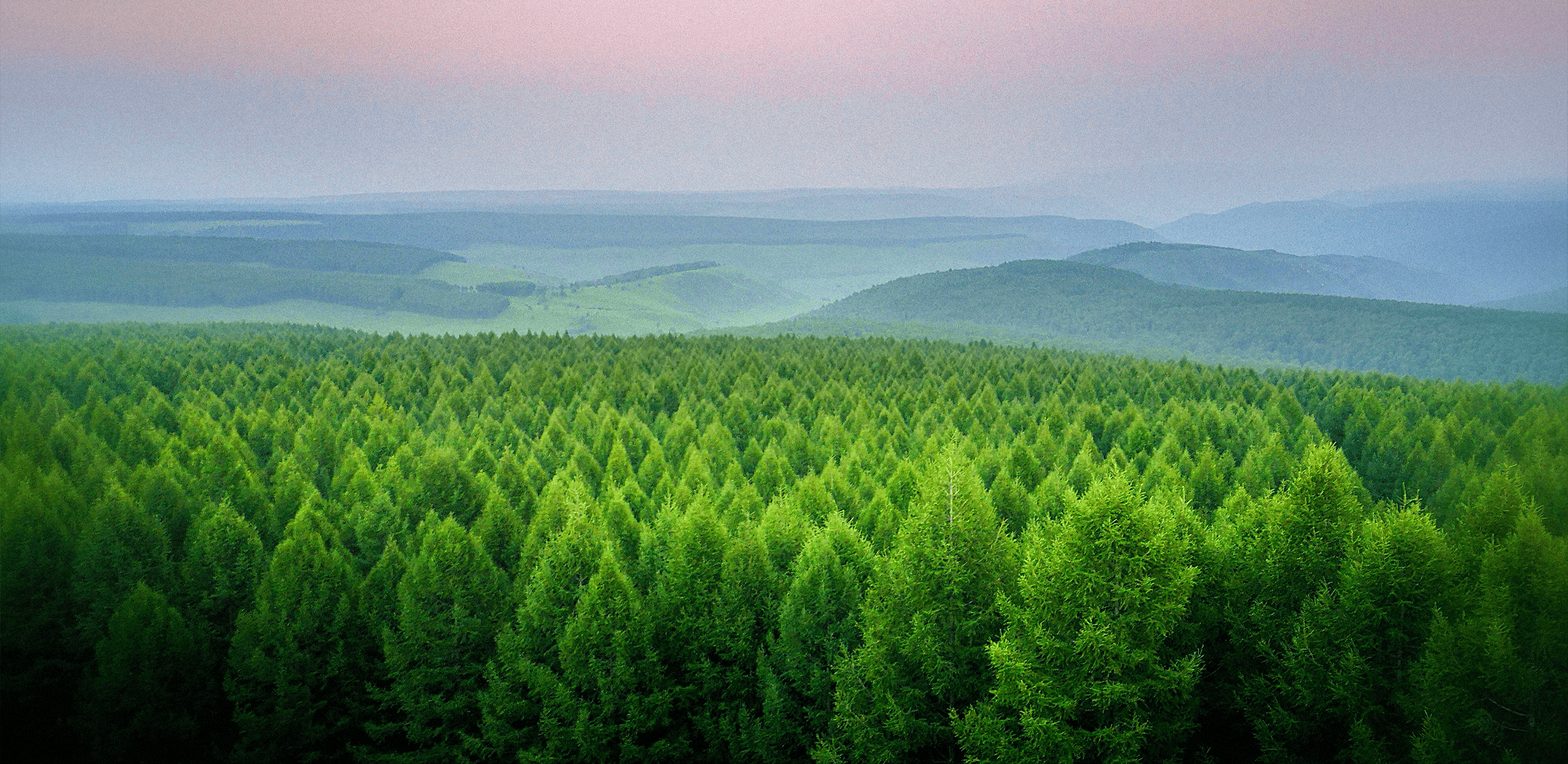 Bilancio di Sostenibilità 2024