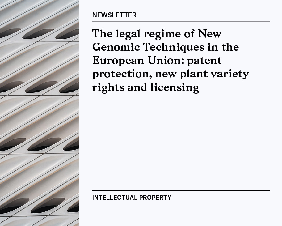 Newsletter | Intellectual Property 17/04/2026